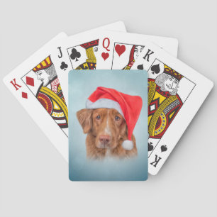 Drawing Dog Nova Scotia Duck Tolling 20 Playing Cards