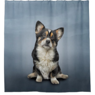 Drawing Dog Welsh Corgi black Shower Curtain