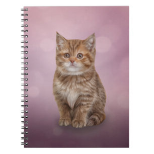Drawing funny striped kitten notebook
