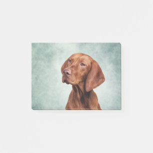 Drawing funny Vizsla Pointer Post-it Notes