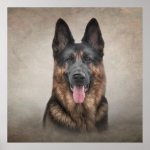 Drawing German Shepherd Dog Poster