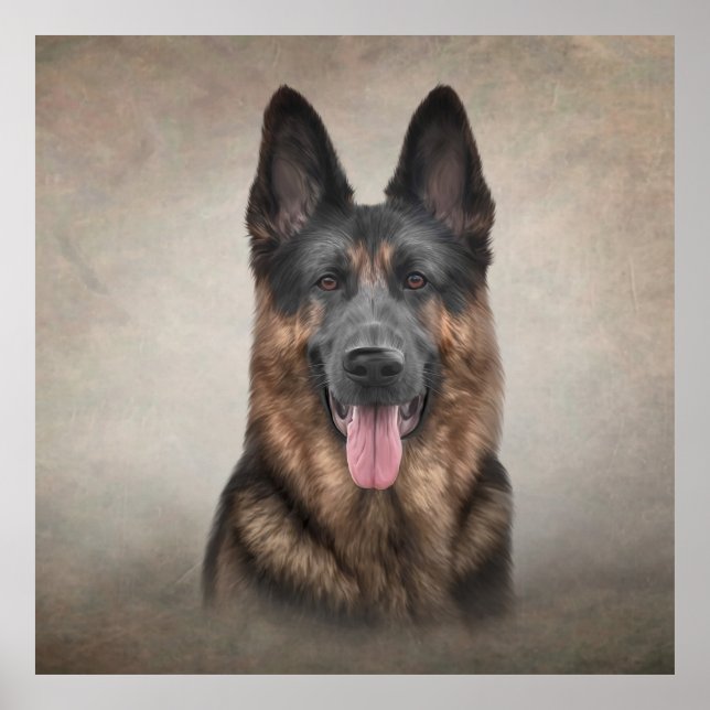 Drawing German Shepherd Dog Poster (Front)