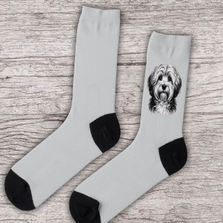 Drawing Havanese Dog Socks