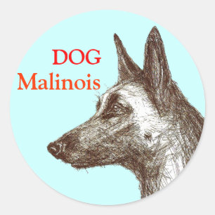 drawing malinois classic round sticker