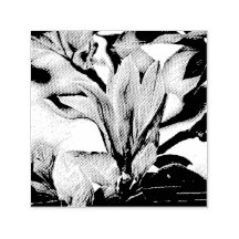Drawing of a magnolia flower branch self-inking st