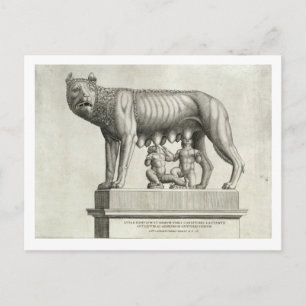 Drawing of the Etruscan bronze of the she-wolf suc Postcard