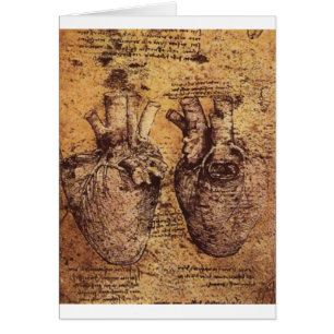 Drawing of the heart and its blood vessels