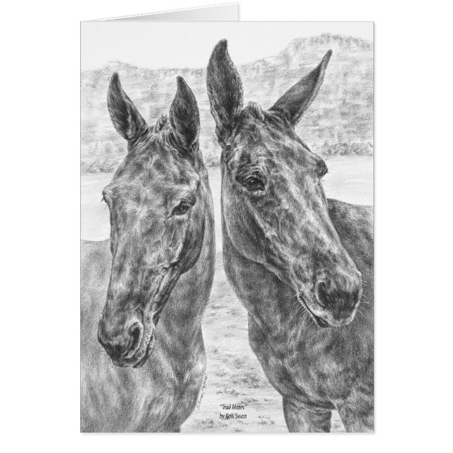 Drawing of Two Mules by Kelli Swan (Front)