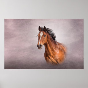 Drawing portrait horse poster