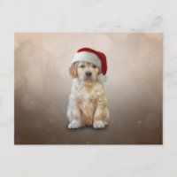Drawing puppy Golden Retriever in red hat of Santa