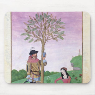 Drawing sap from a tree mouse mat