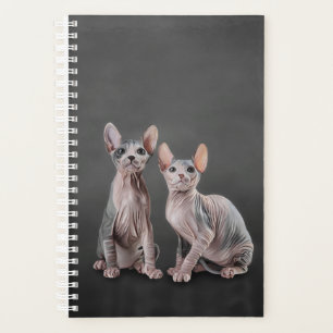 Drawing Sphynx kitten Planner