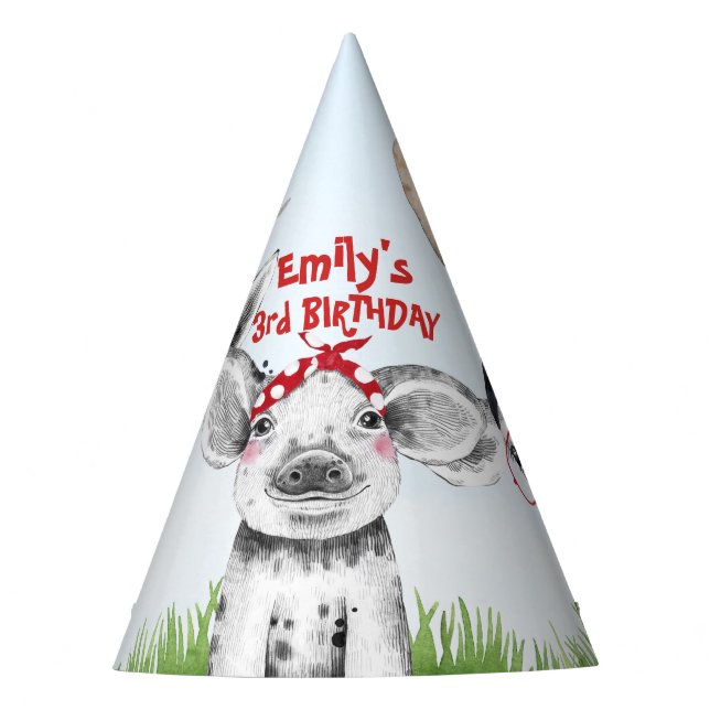 Drawn Farm Animals Birthday Party Hat (Front)