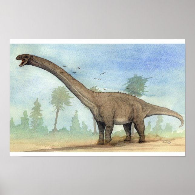 Dreadnoughtus Print (Front)