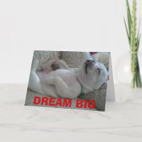 DREAM BIG