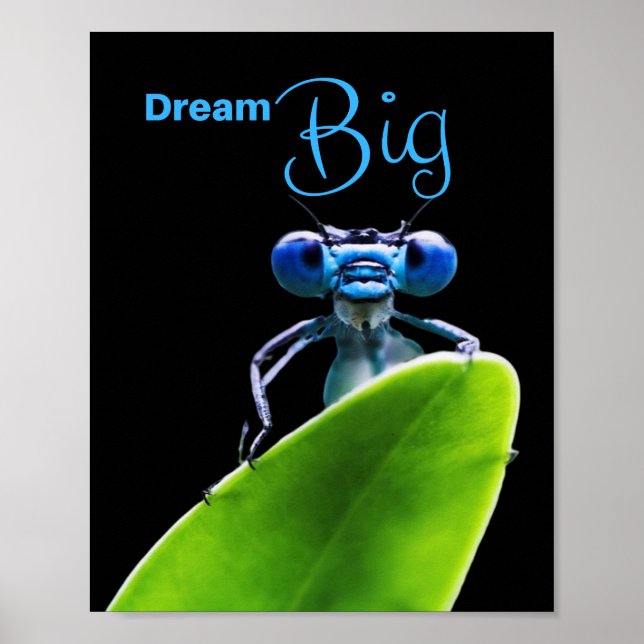 Dream Big Dragonfly Motivational Matt Poster (Front)