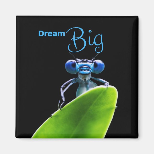 Dream Big Dragonfly Motivational Quote Magnet (Front)