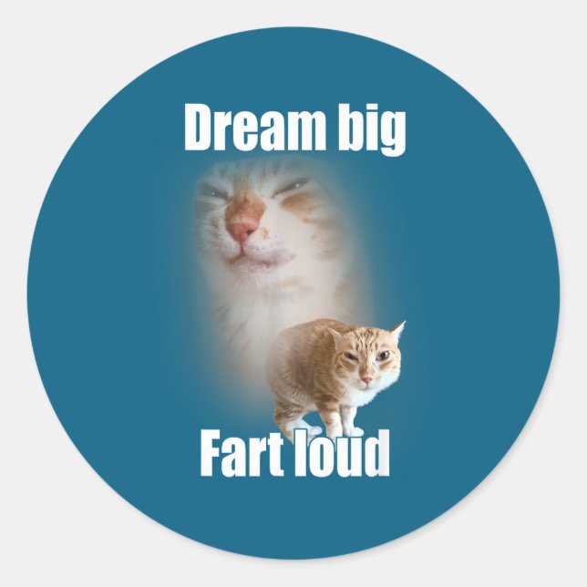 Dream Big Fart Loud Cat Meme Funny Saying  Classic Round Sticker (Front)