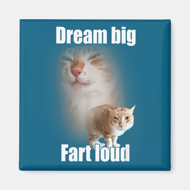 Dream Big Fart Loud Cat Meme Funny Saying  Magnet (Front)