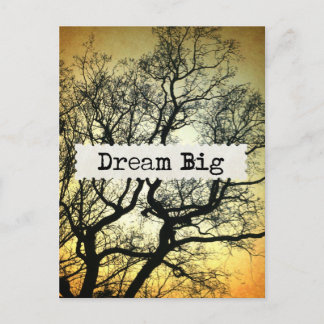 Dream Big Postcard
