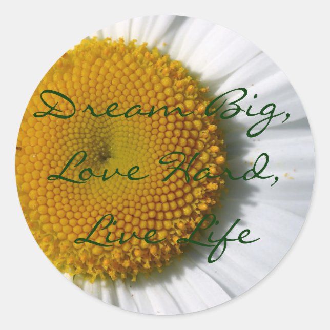 Dream Big Stickers (Front)