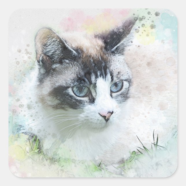 dream cat stickers (Front)