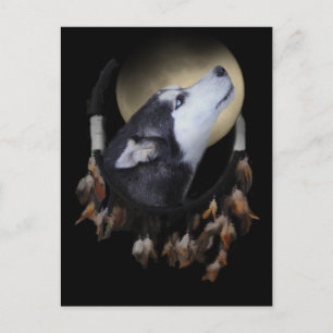 Dream catcher and blue eyed Husky Postcard