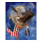 Dream Catcher - Freedom Eagle Art Poster/Print