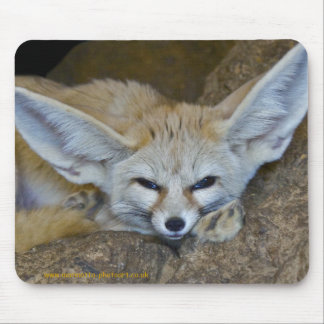 Dream Ears Mousemat