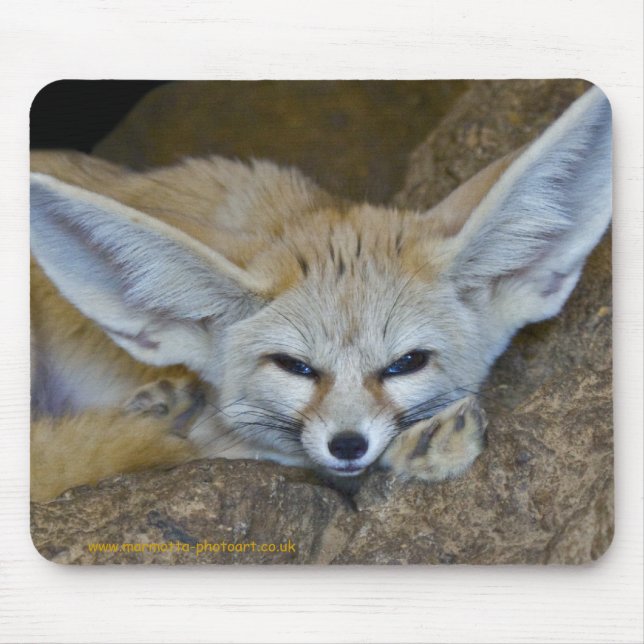 Dream Ears Mousemat (Front)