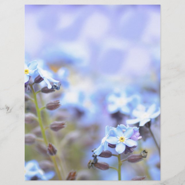 Dream in Blue (Front)