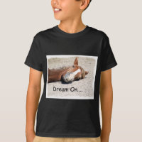Dream On Horse