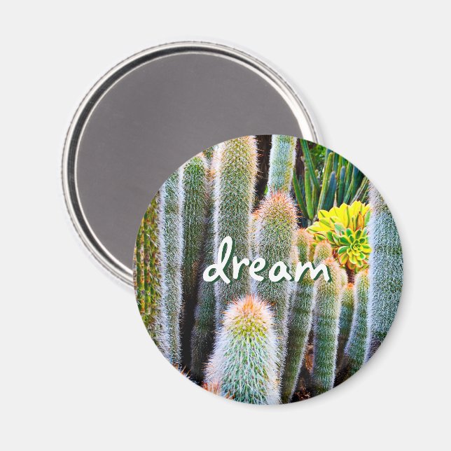 “Dream” orange-tipped fuzzy green cactus photo Magnet (Front/Back)