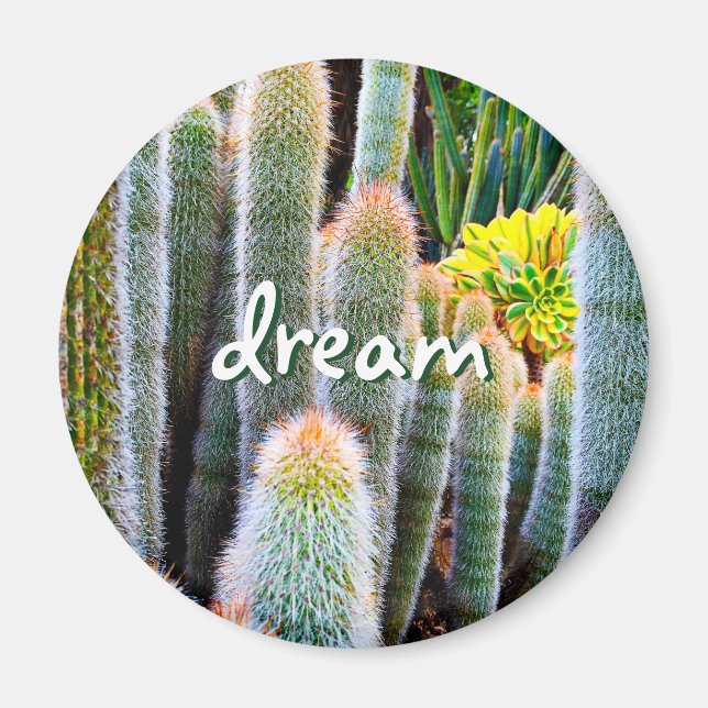 “Dream” orange-tipped fuzzy green cactus photo Magnet (Front)