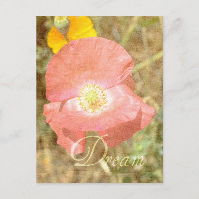 Dream Poppy Floral Postcard (Front)