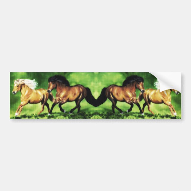 Dream Team Bumper Sticker (Front)