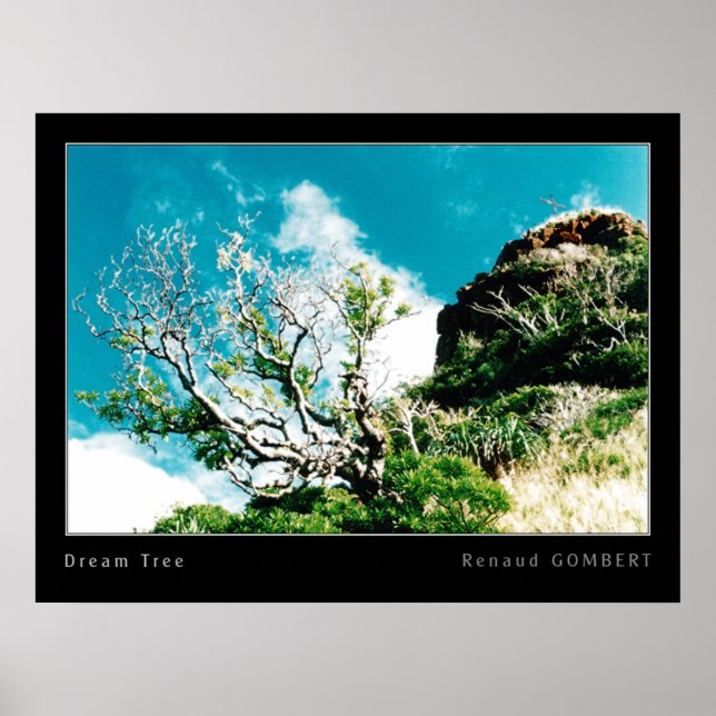 Dream tree poster (Front)