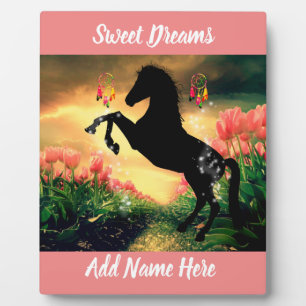 Dreamcatcher Plaque