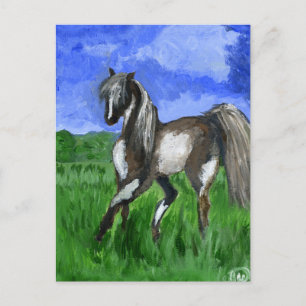 Dreamer pinto horse art postcard