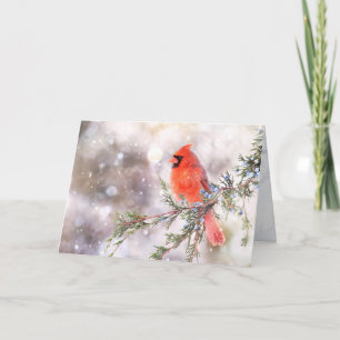 Dreamer, Red Cardinal 5" x 7" Folded Greeting Card