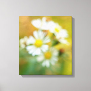 Dreamin' Daisies Canvas Print