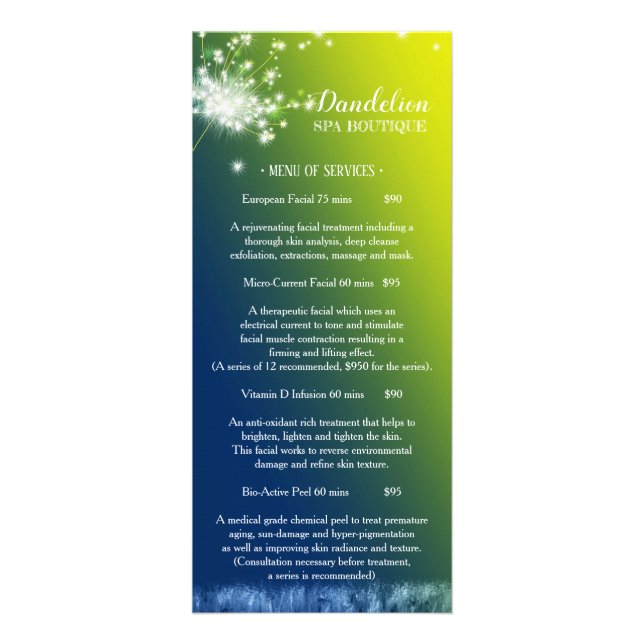 Dreaming Dandelion Massage Spa Price List Menu (Front)