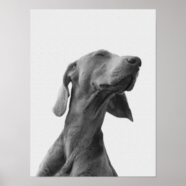 Dreaming dog Poster (Front)