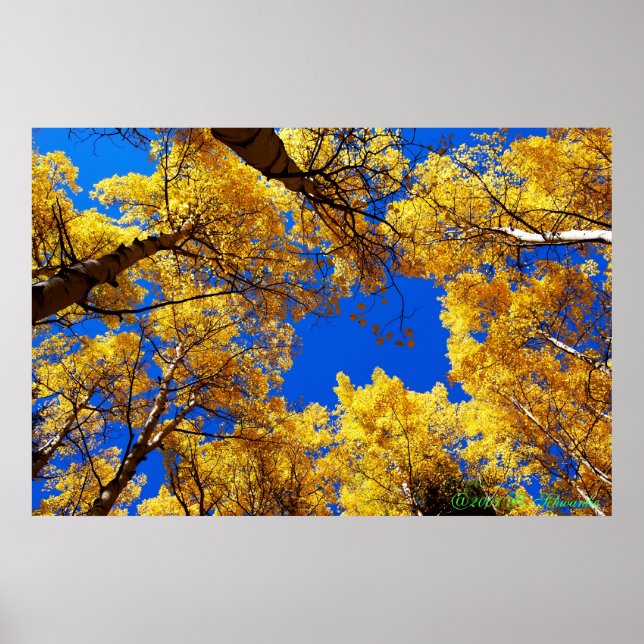 Dreaming in color poster (Front)