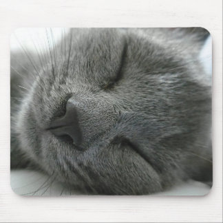 Dreaming kitty mouse mat