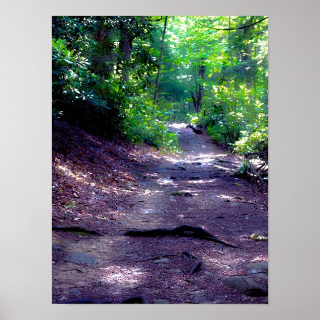 Dreaming of a Hiking Trail Poster (Front)