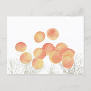 Dreaming of apricots in the winter  postcard