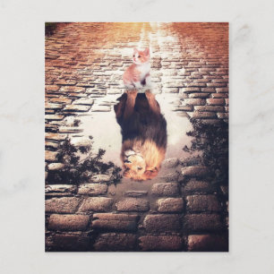Dreaming Of Cat Lion, Funny Cat Gift Flyer