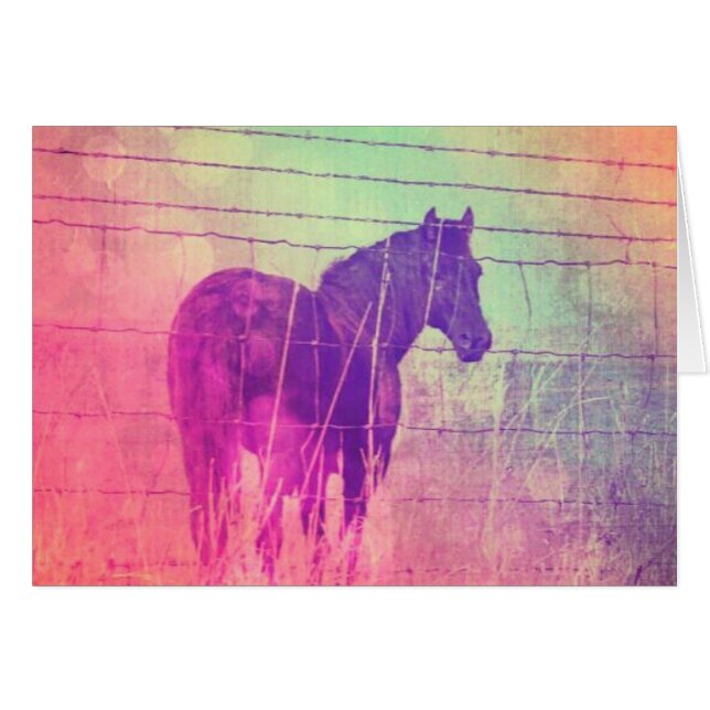 Dreaming of Horses (Front Horizontal)