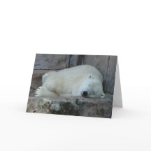 Dreaming of Icebergs